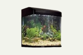 AQUASTYLE 510