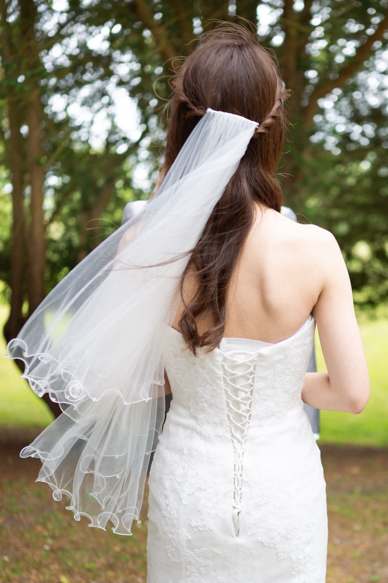 The bride's veil