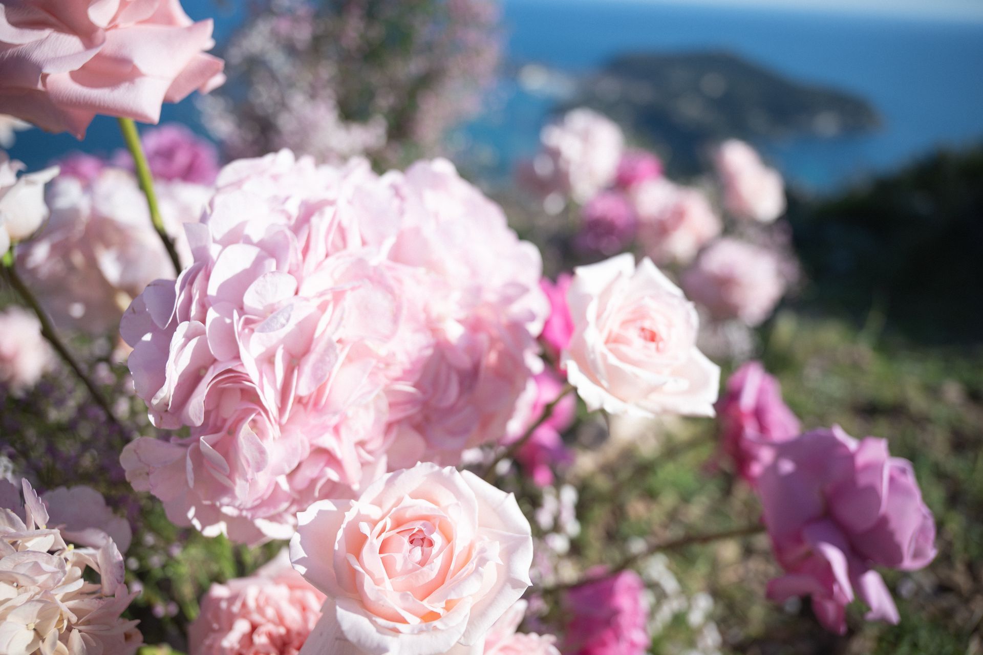 beautiful flowers at the proposal spot by Monaco Flowers