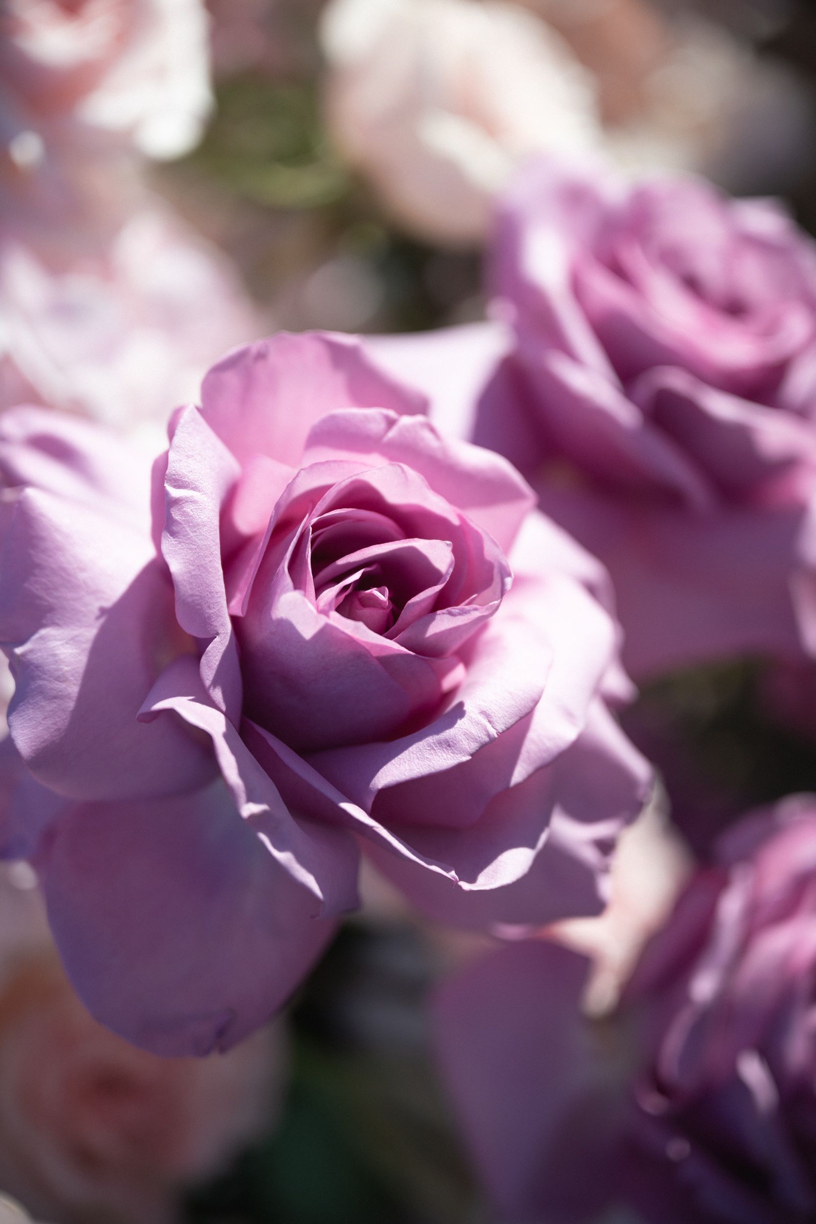 beautiful flowers at the proposal spot by Mazur Flowers