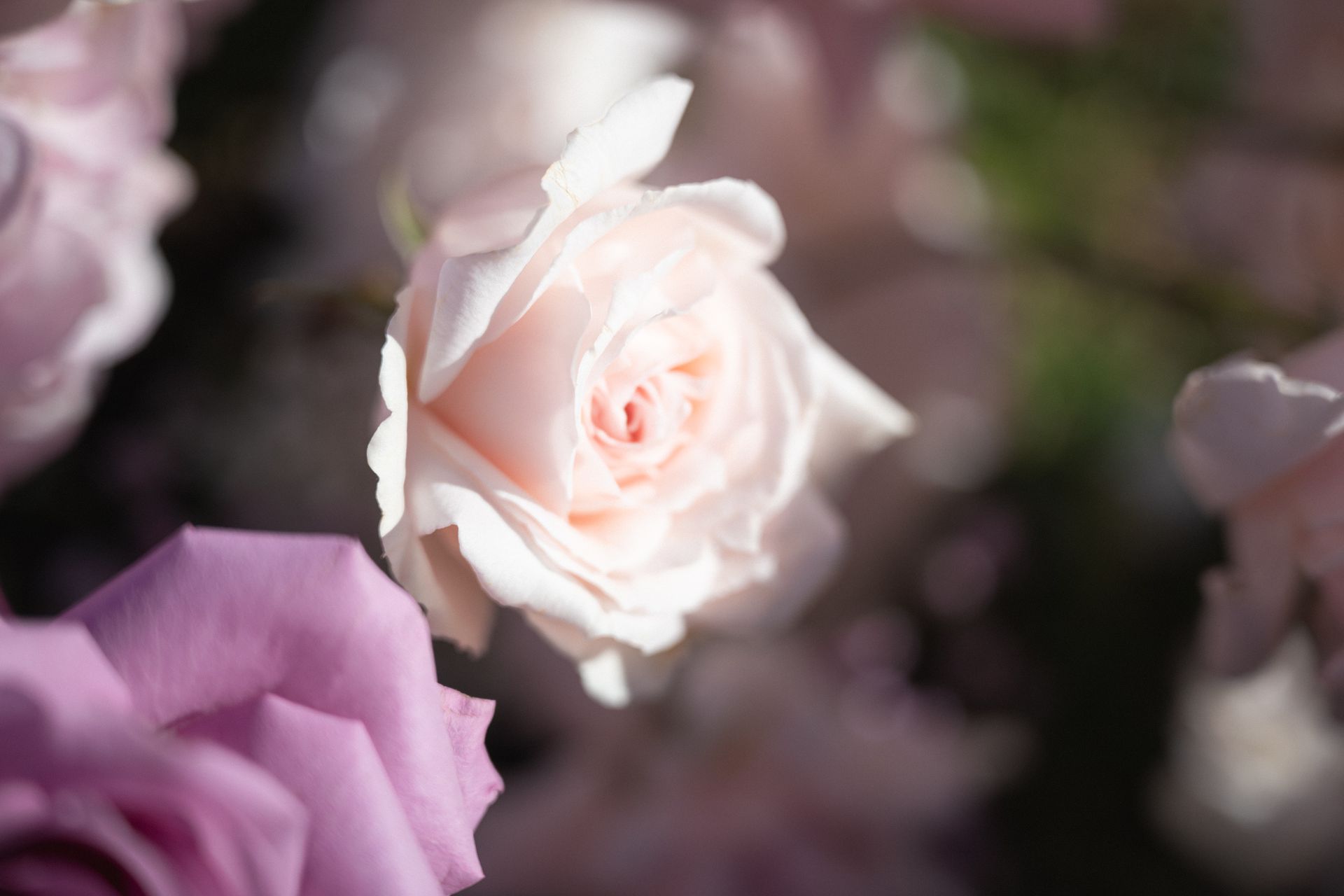 beautiful flowers at the proposal spot by Mazur Flowers