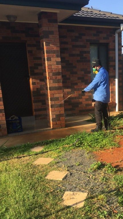 A Man Is Spraying A Lawn In Front Of A Brick House — Local Pest Control Illawarra in Horsley, NSW
