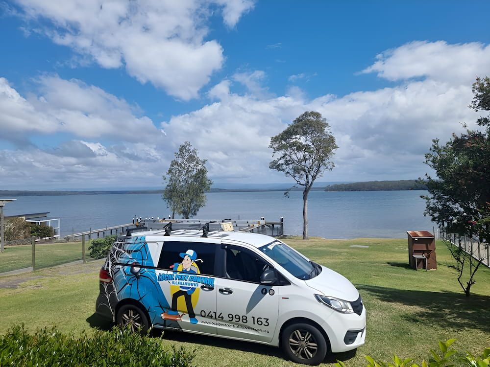 A Pest Control Van Next To The Beach — Local Pest Control Illawarra in Horsley, NSW