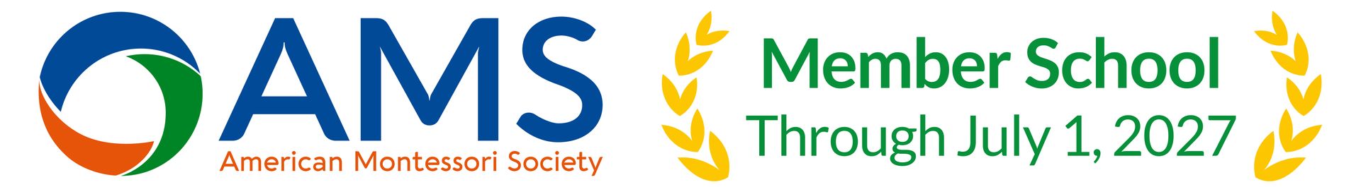AMS Logo