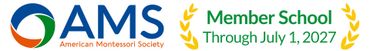 AMS Logo