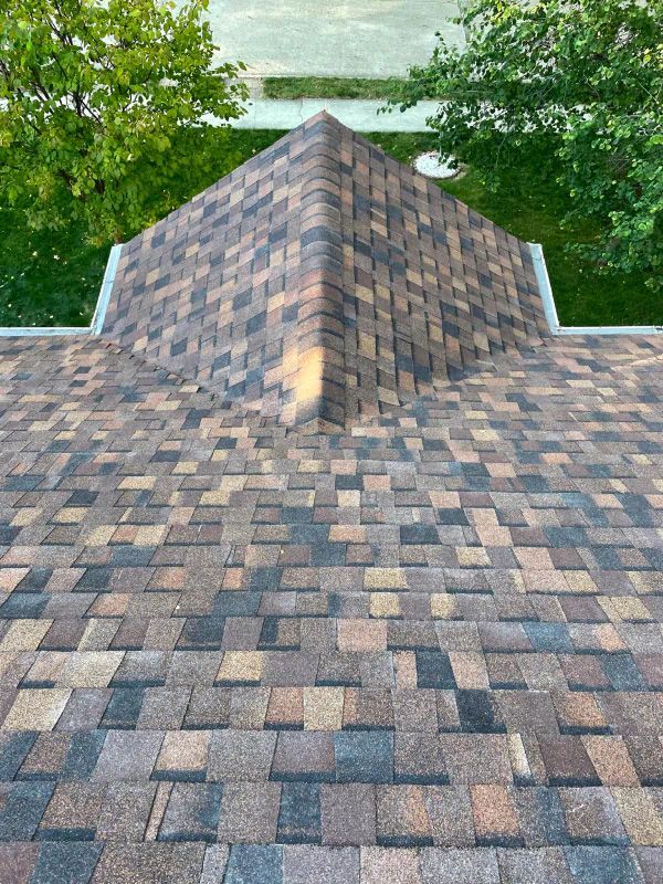 A close up of a roof with a pyramid shaped roof and trees in the background.