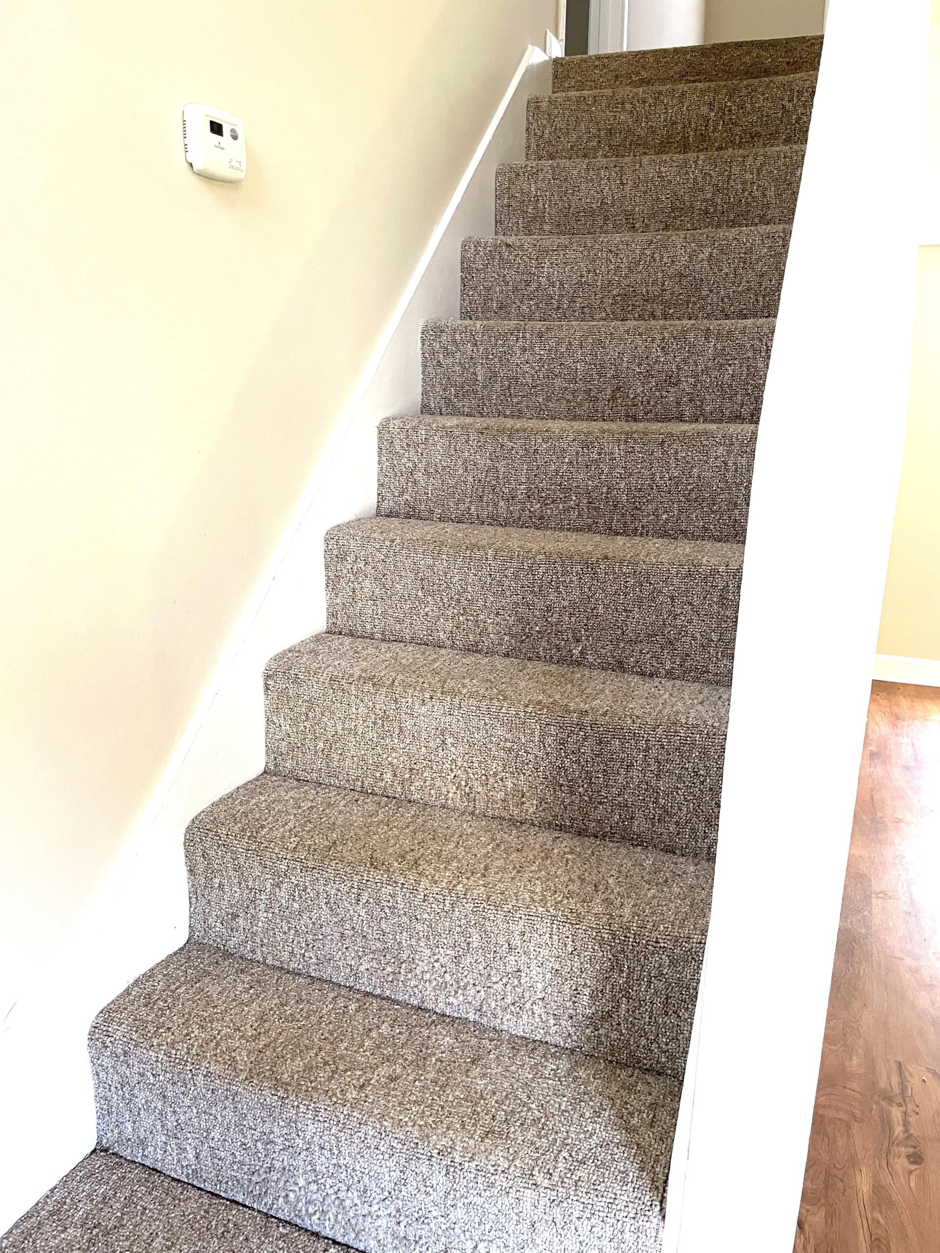 stairs shot