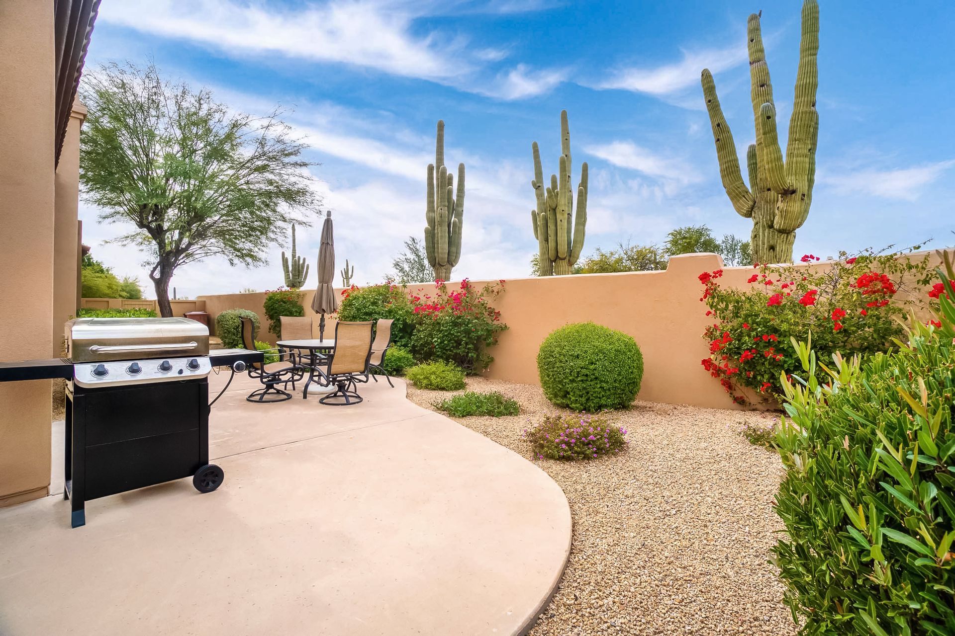 Patio With a Grill and Cactus