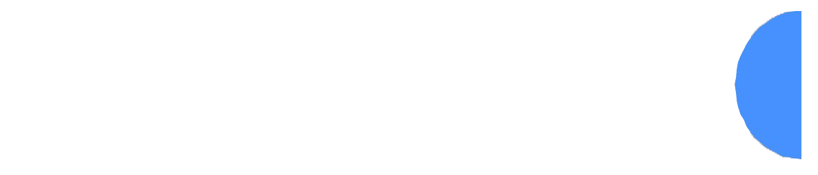 Logo Ing. Dr Fleishmann Dr Janser