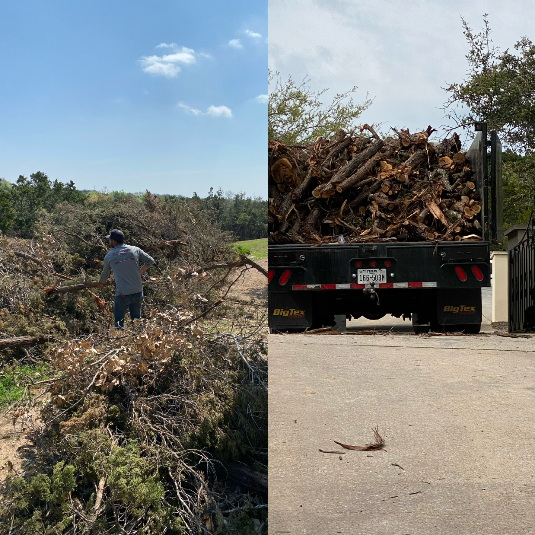 A person clears brush in a field, alongside a truck filled with large tree limbs parked on a paved road.