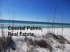 White sand beach with blue ocean and sky, with sea oats in the foreground.