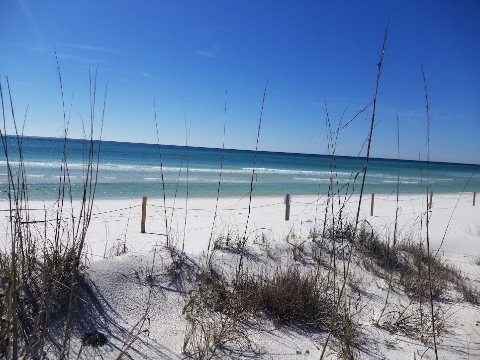 White sand beach with blue ocean and sky, with sea oats in the foreground.