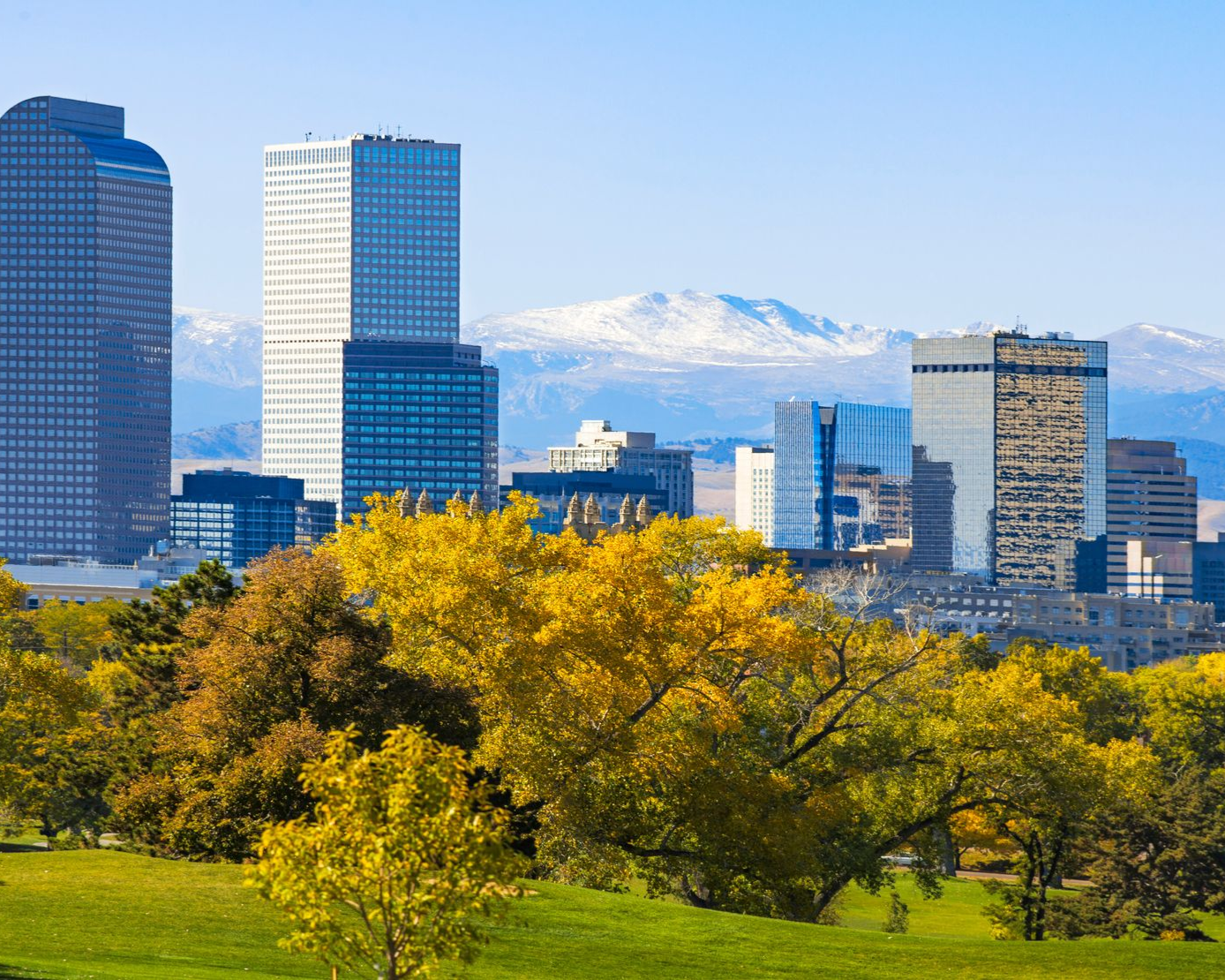 City skyline with tall buildings behind autumn trees and a snow-capped mountain in the distance