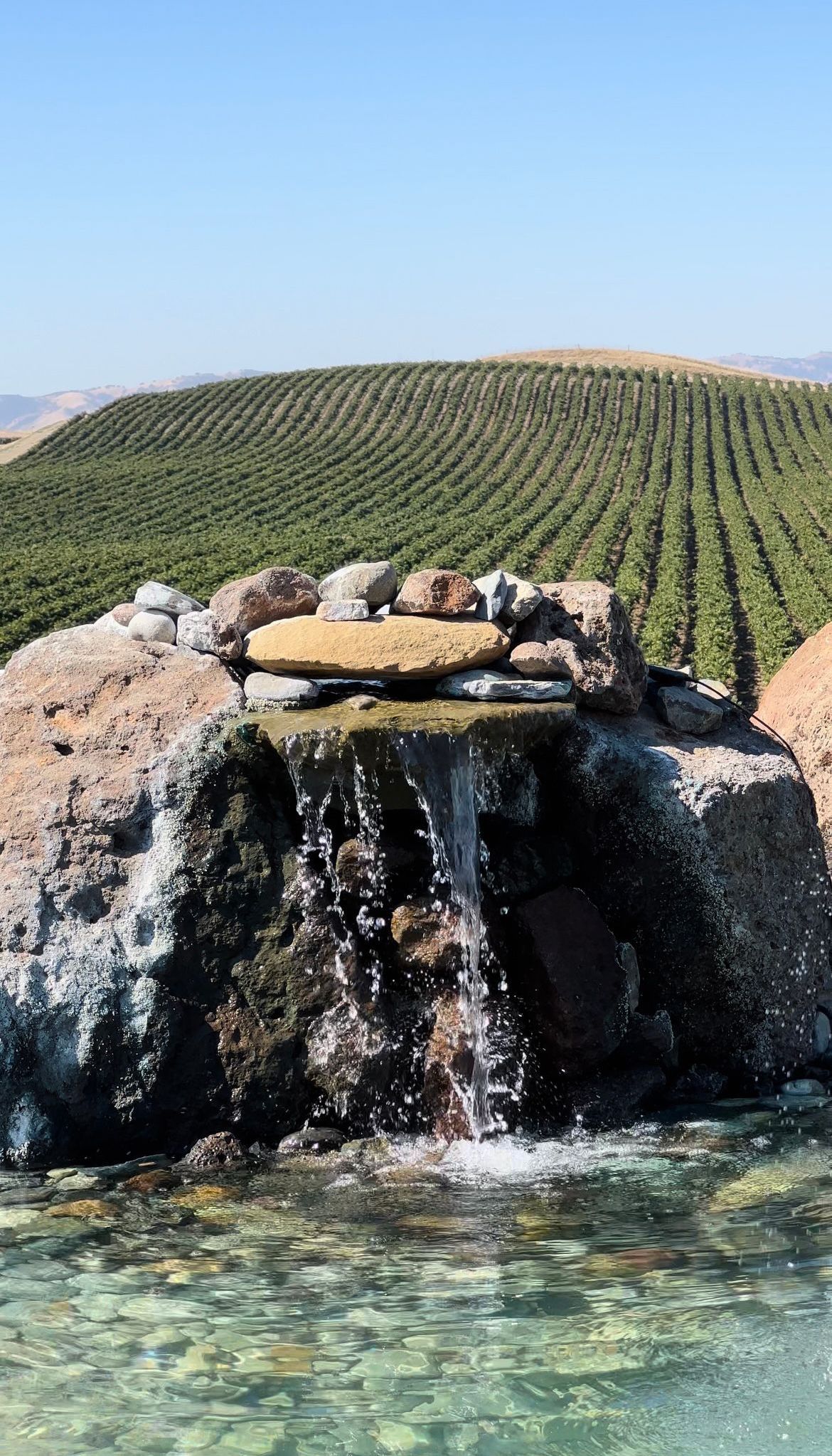 a waterfall is surrounded by rocks in front of a vineyard .