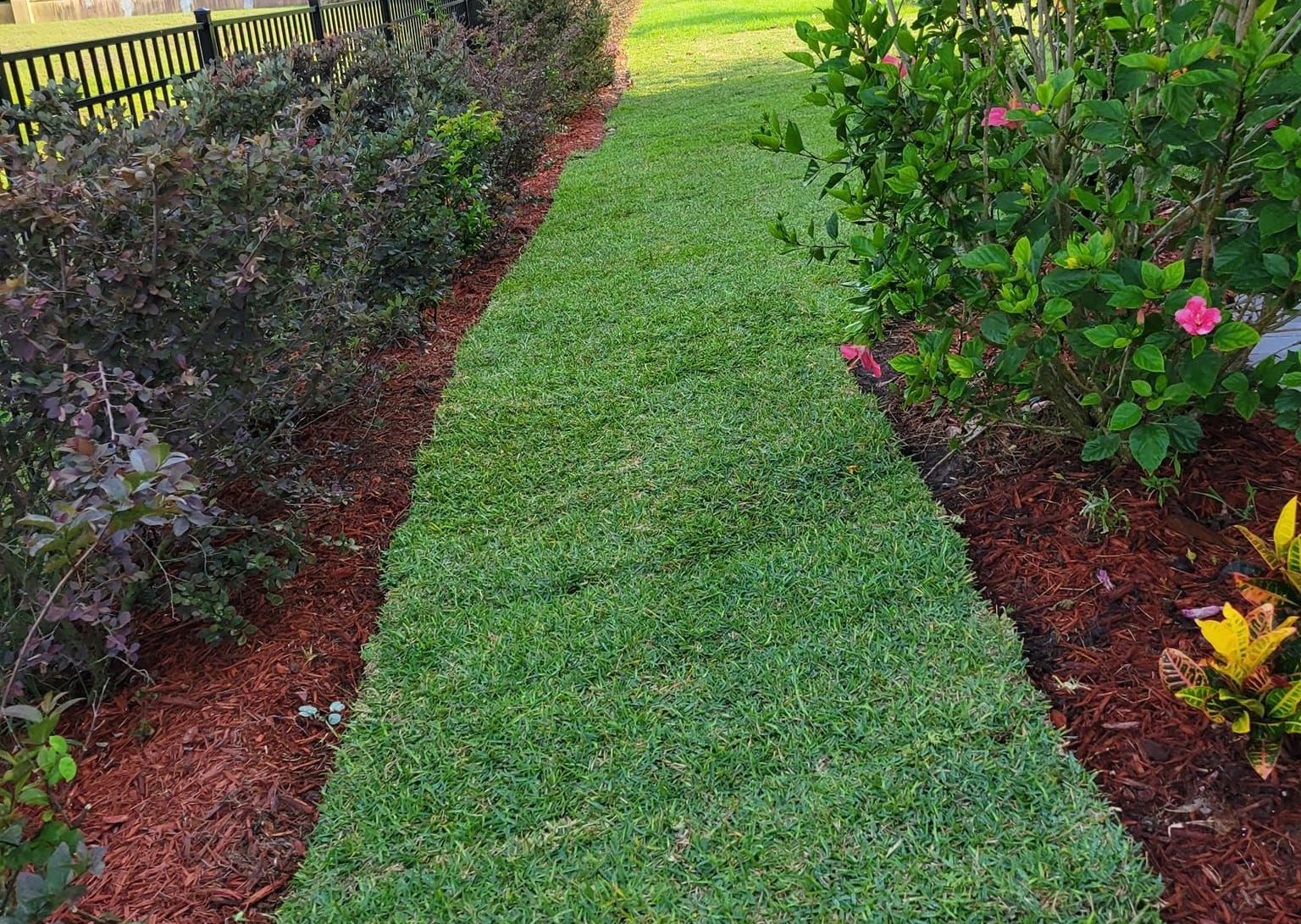 Sod Installation in Mt Dora, FL Sod Installation in Mt Dora, FL