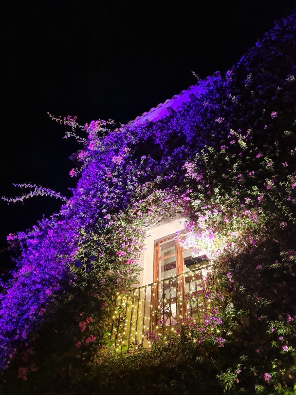Balcony covered in purple flowers with strings of lights at night.