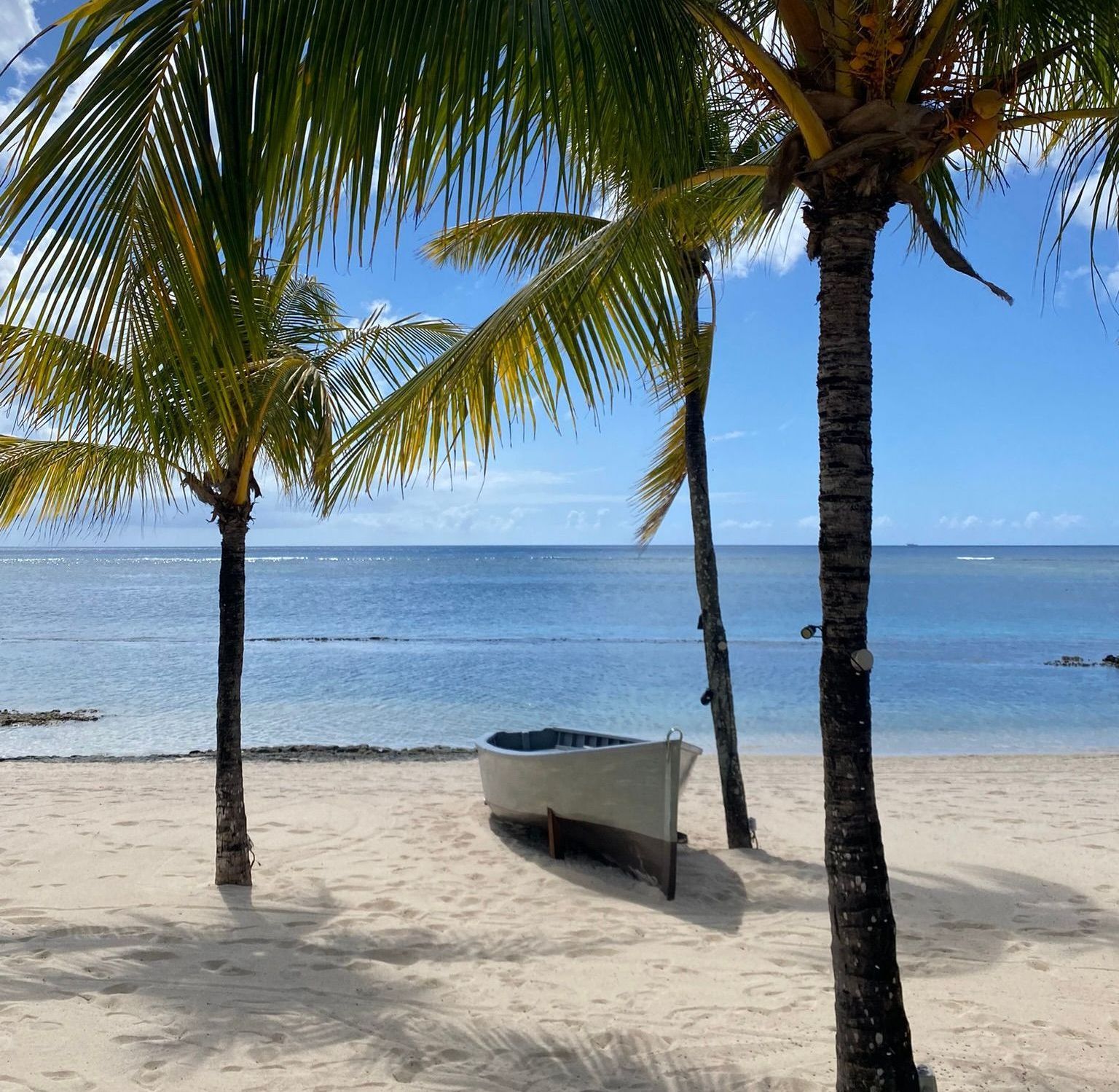 Palm trees frame a white boat on a sandy beach; blue ocean in the background.