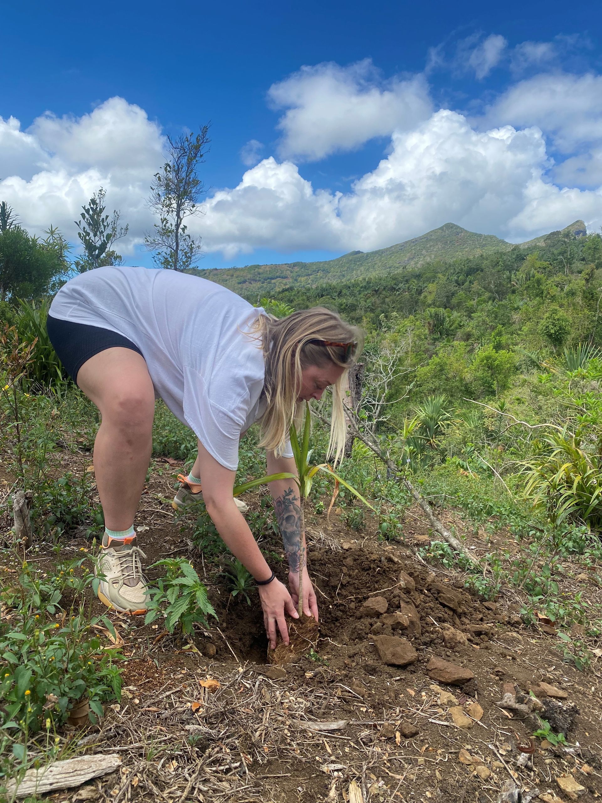 Person planting a tree on a hillside under a blue sky.