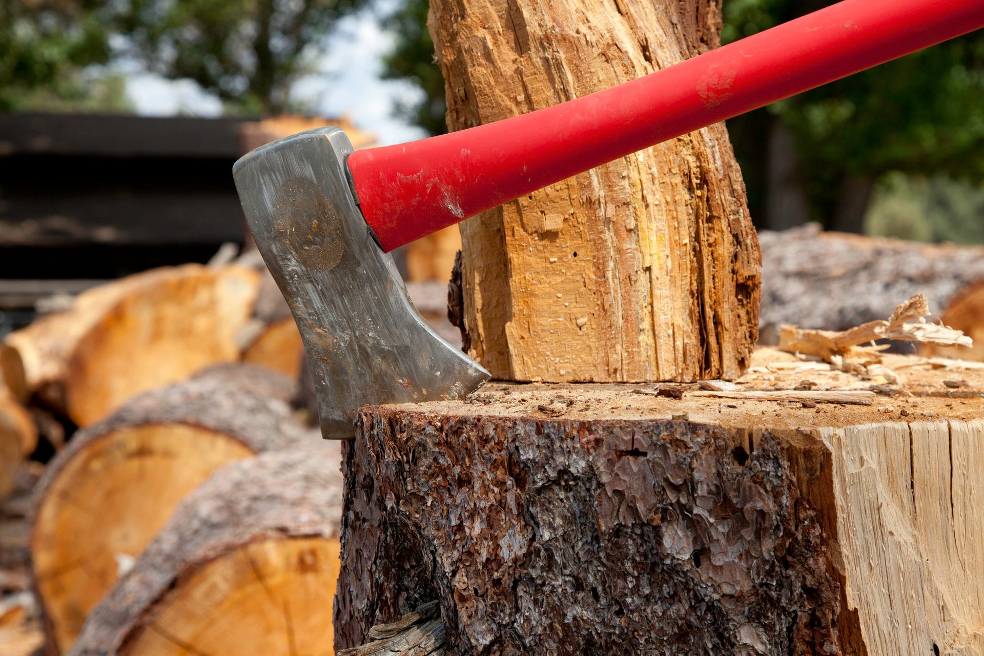 Tree Service Project Gallery | August Hunicke Arborists – Grants Pass