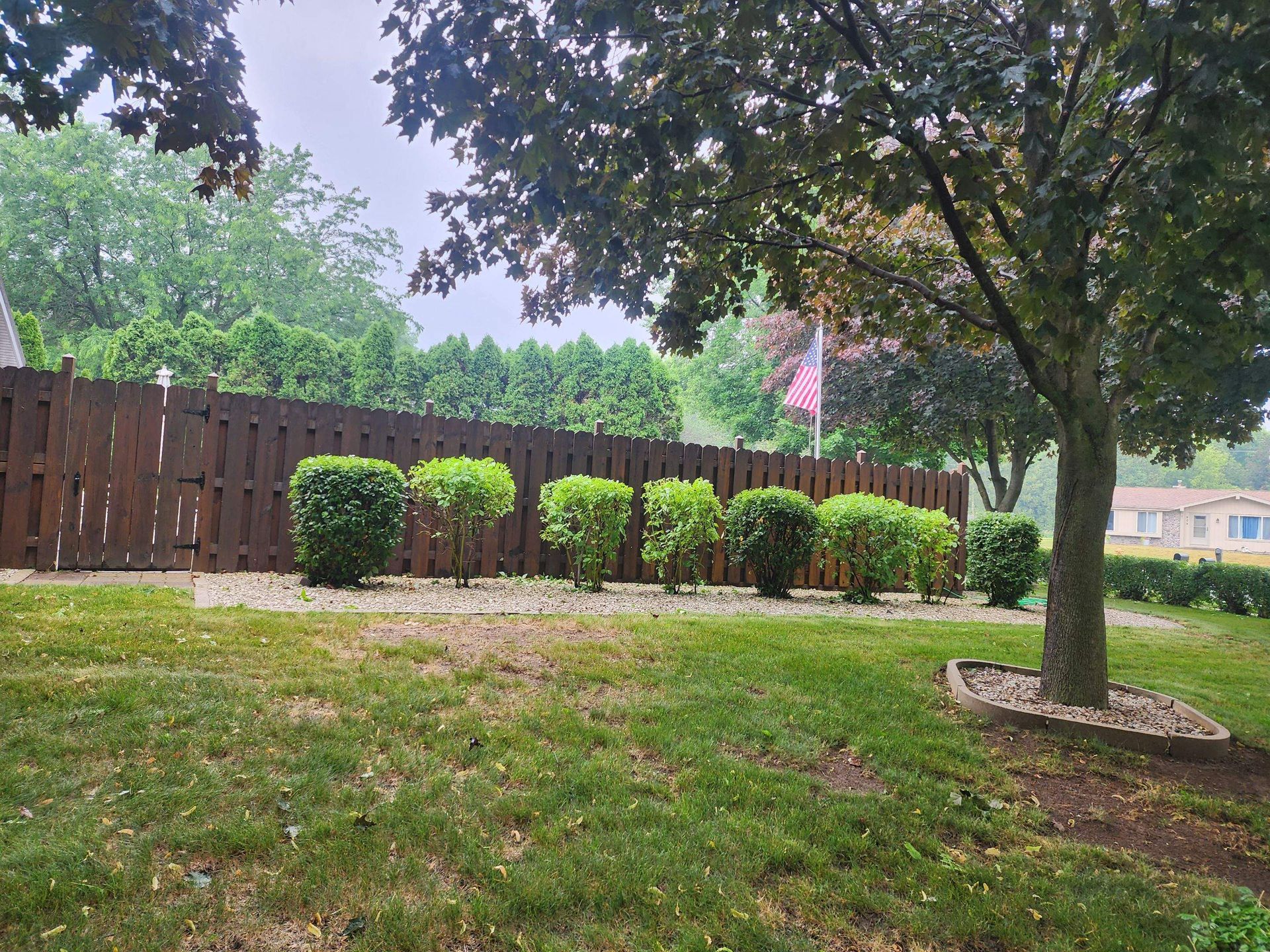 Recently mowed grassy field with diagonal stripes, a large tree, and houses under a partly cloudy sky