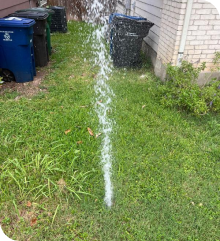 A broken sprinkler head is spraying water on a lush green lawn.