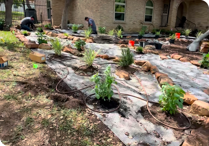 A team working in a yard on a new water sprinkler system installation.