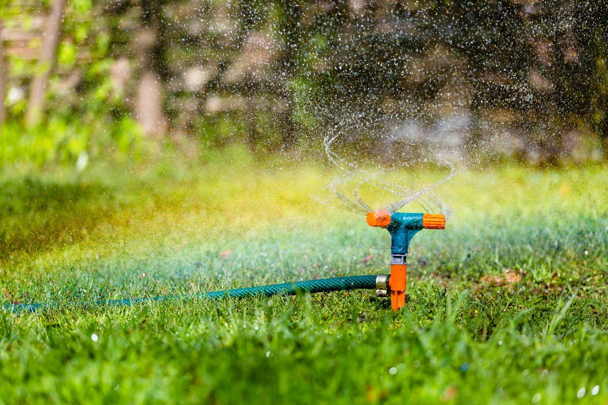Garden sprinkler spraying water over green grass in a sunny yard