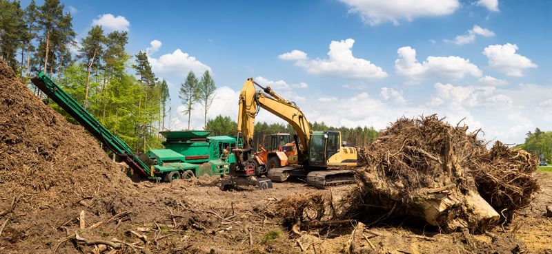 Deforestation scene: Excavator and wood chipper processing felled trees in a forest clearing under a blue sky.