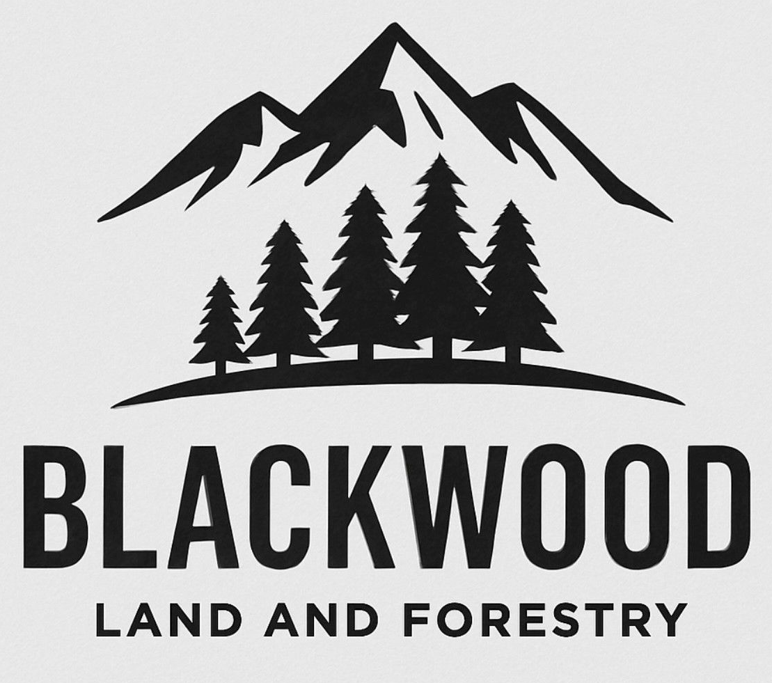 Blackwood Land And Forestry LLC Blackwood Land And Forestry LLC