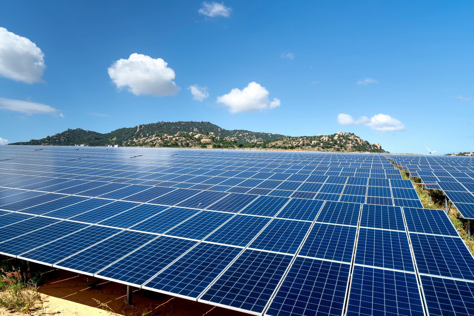 Solar panels stretching across a coastal landscape under a bright blue sky with clouds