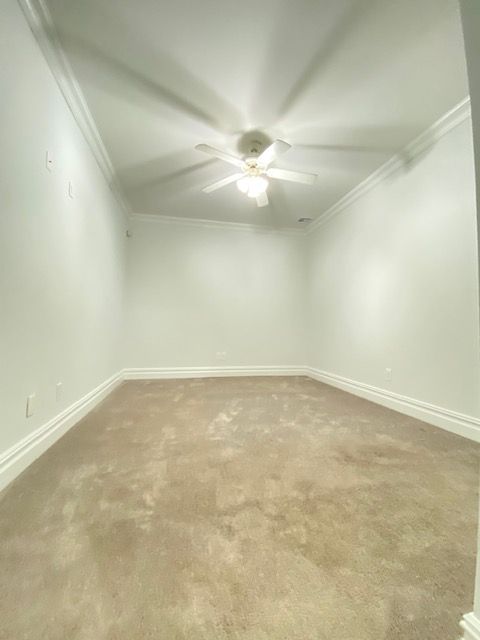 An empty, rectangular room with beige carpet, white walls, crown molding, and a central ceiling fan.