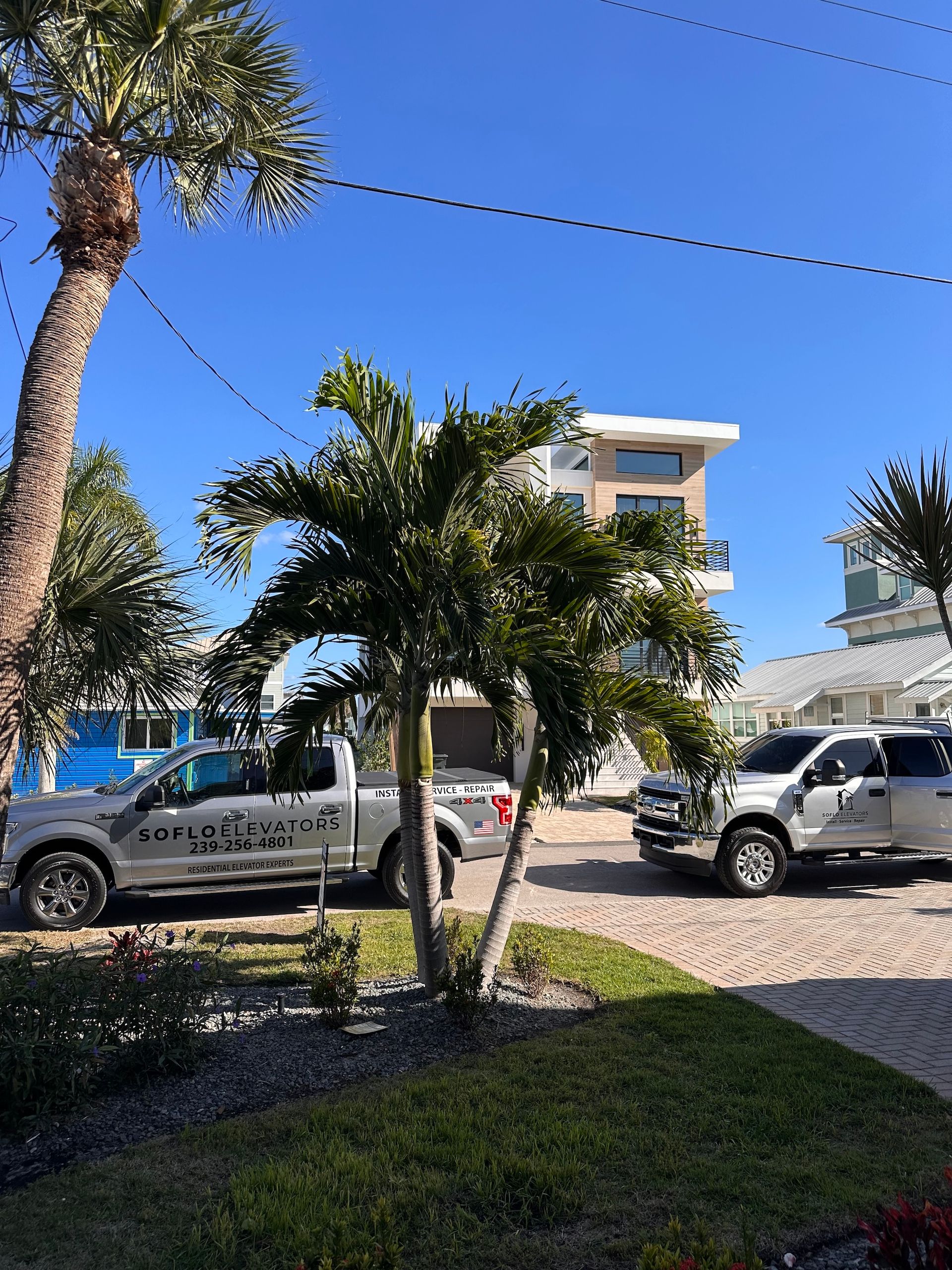 Street scene with palm trees, houses, and two pickup trucks parked on a sunny day.