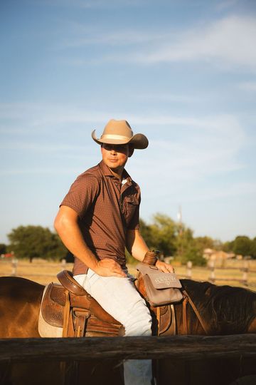 Palomino horse wearing a white halter, standing in a grassy field with a green rope attached.