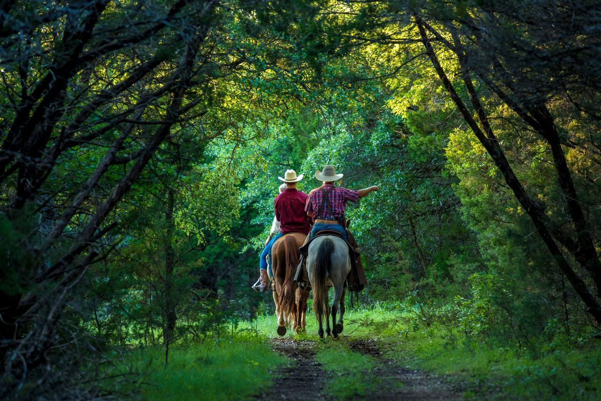 Two horseback riders on a forest trail under a green tree canopy