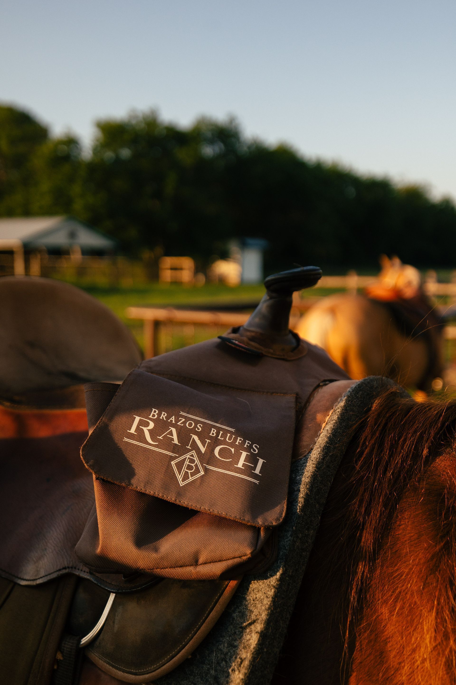 Sunset horseback ride at a Brazos River overlook near Waco, Texas