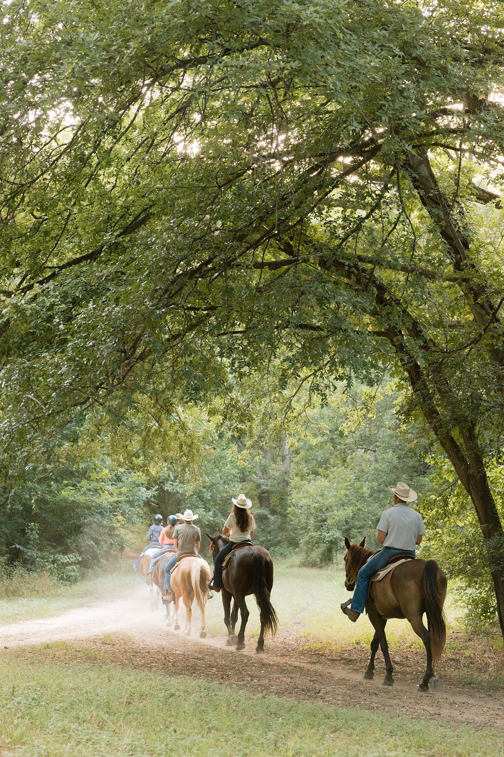 People horseback riding on a trail through a sunny, green forest.