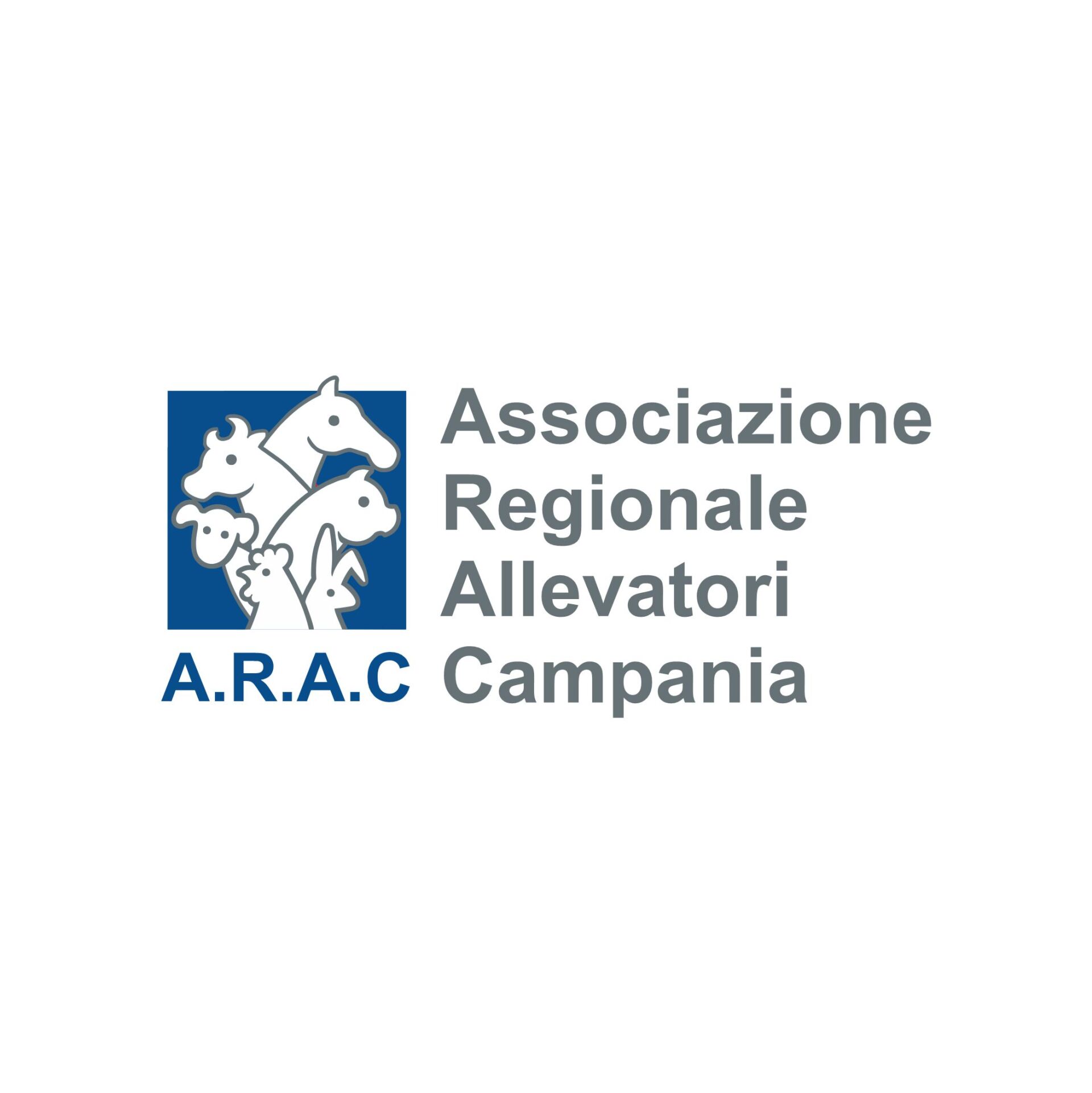 a.r.a.c