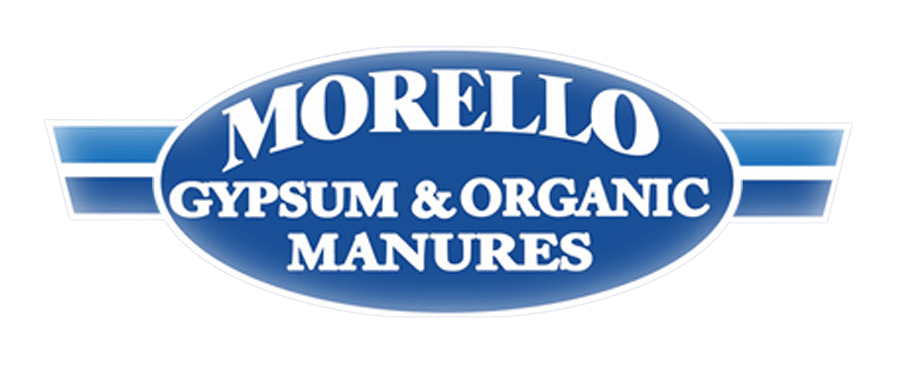Blue logo with