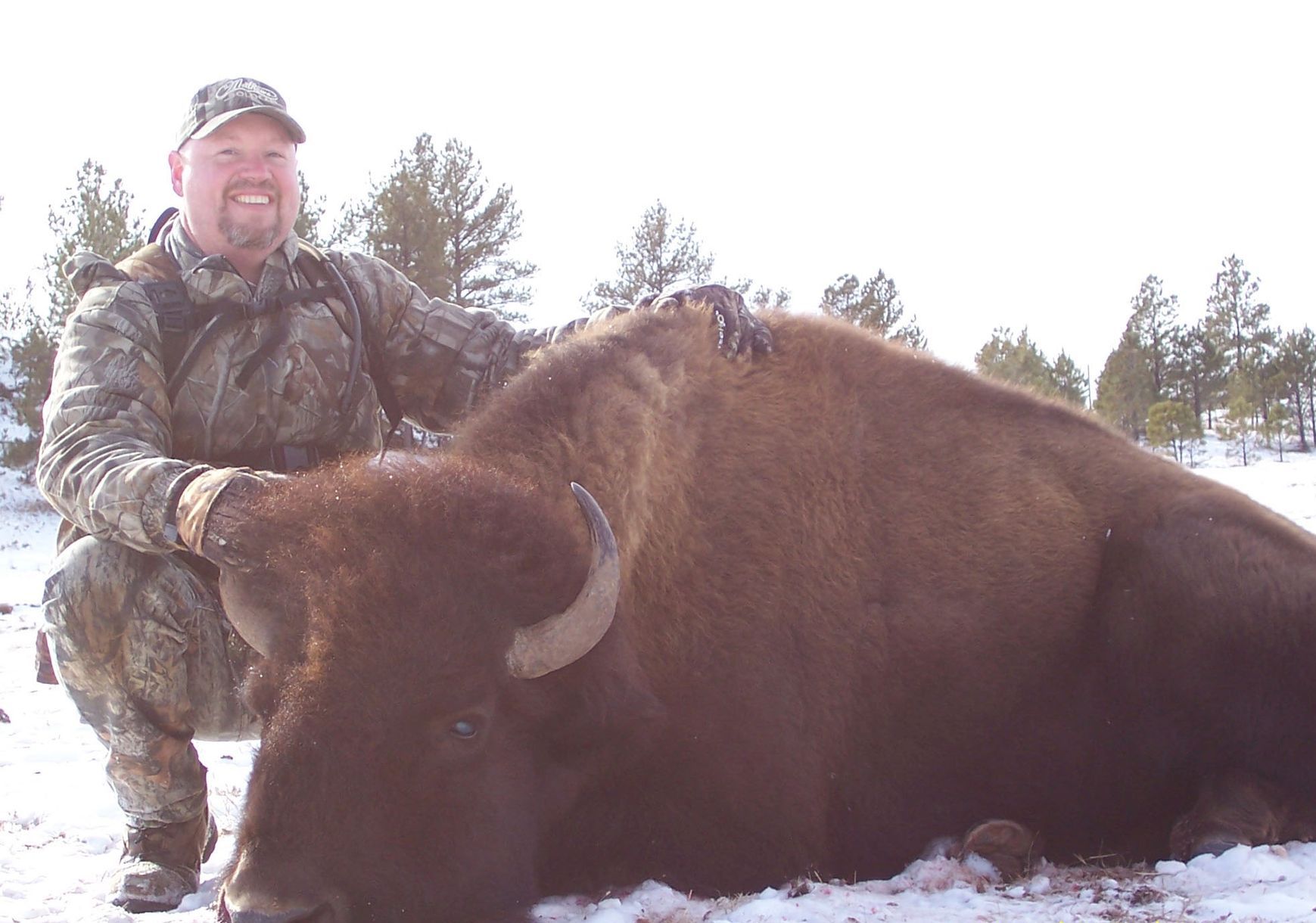 Buffalo hunting, South Dakota, Guided Bison hunt in South Dakota