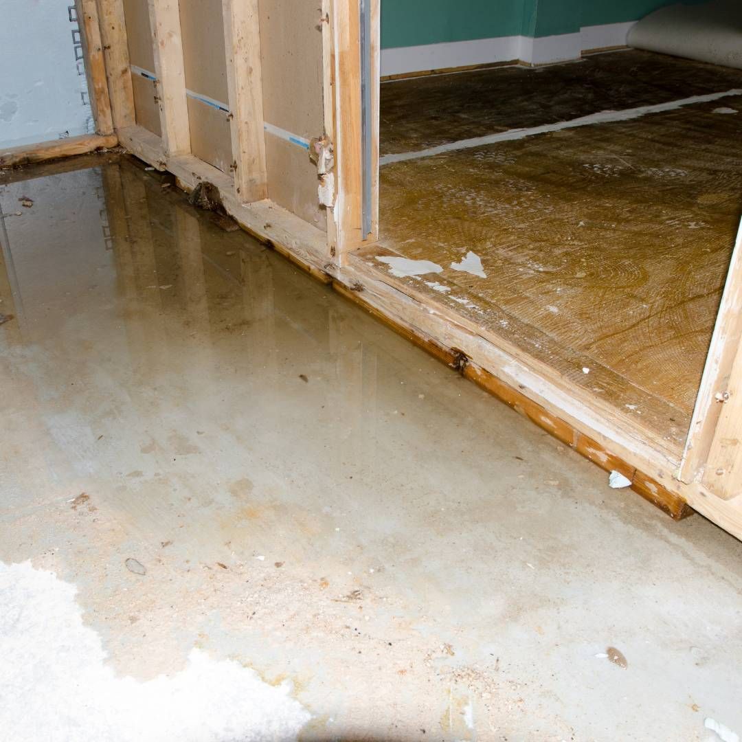 emergency plumbing 24 hours near me toledo ohio