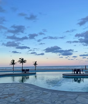 A large swimming pool with palm trees in the background