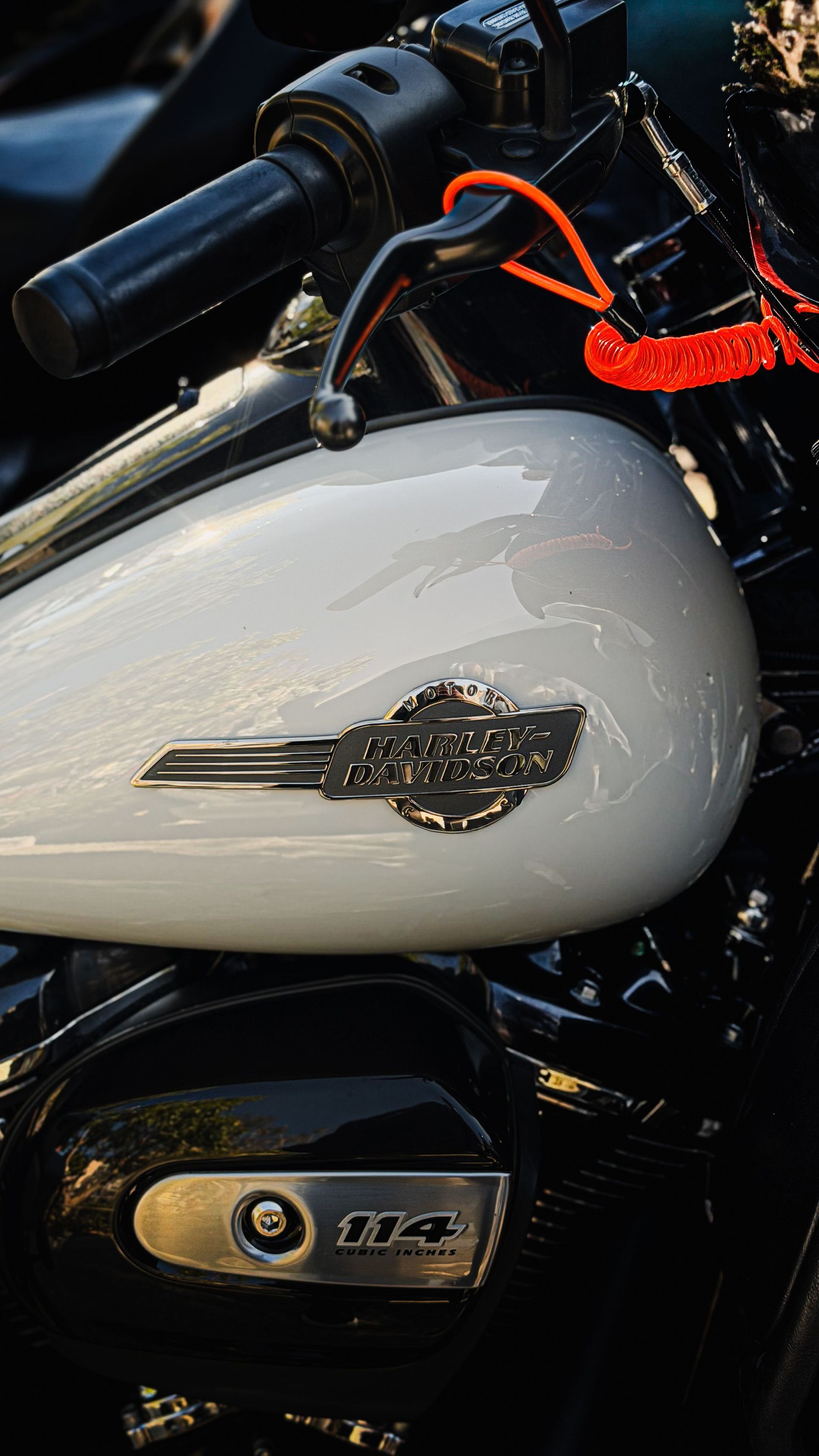 Close-up of a white motorcycle fuel tank with black handlebars and red wiring visible