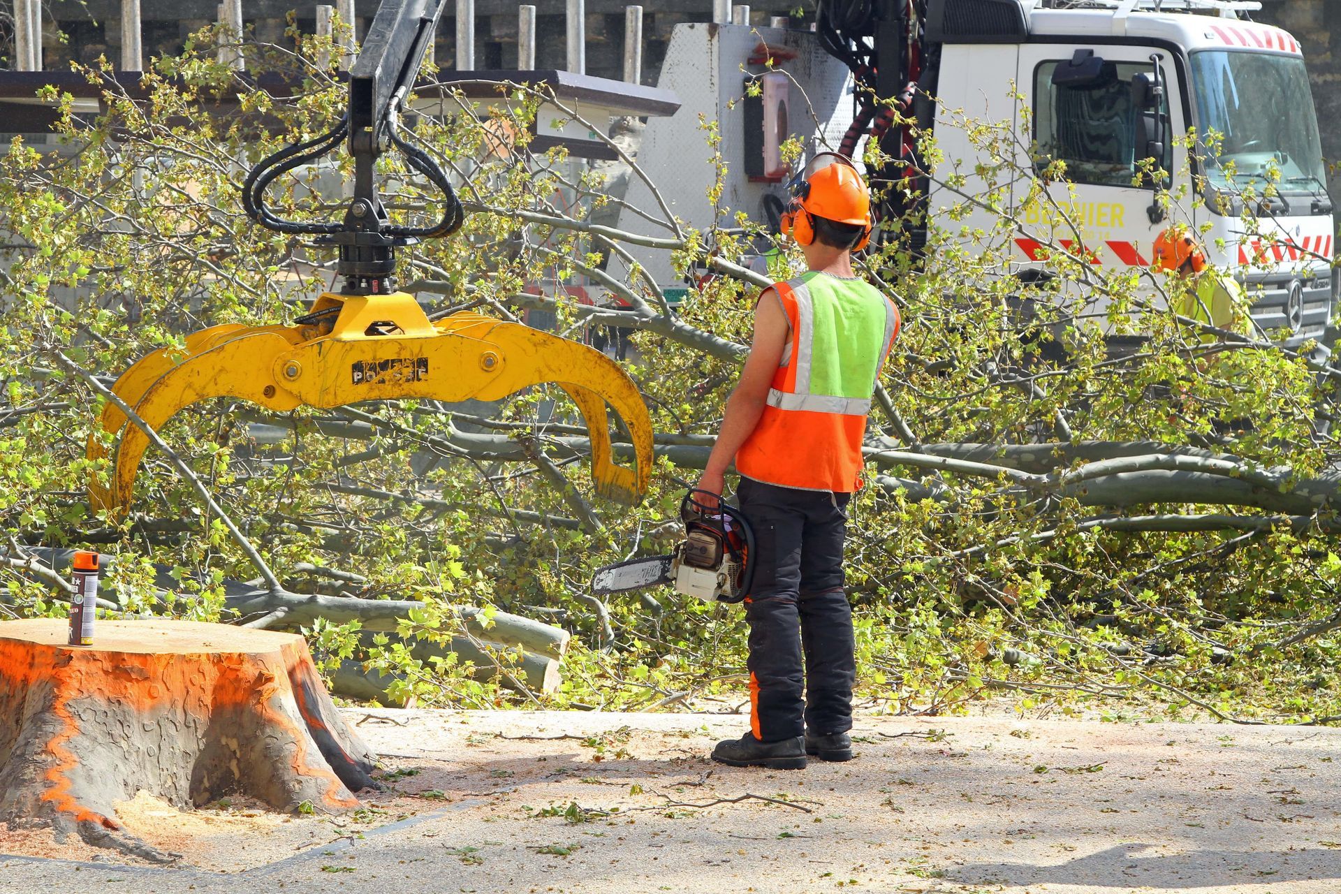 Commercial and residential tree removal