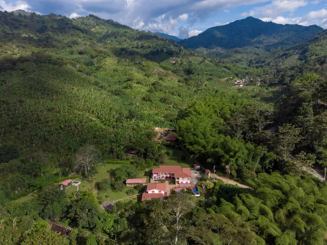 Historia_Casa_Rivera_12