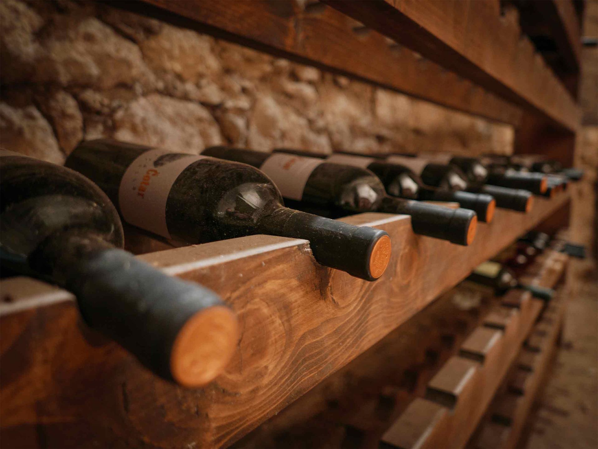 cava de vinos climatizada casa rivera del cacao