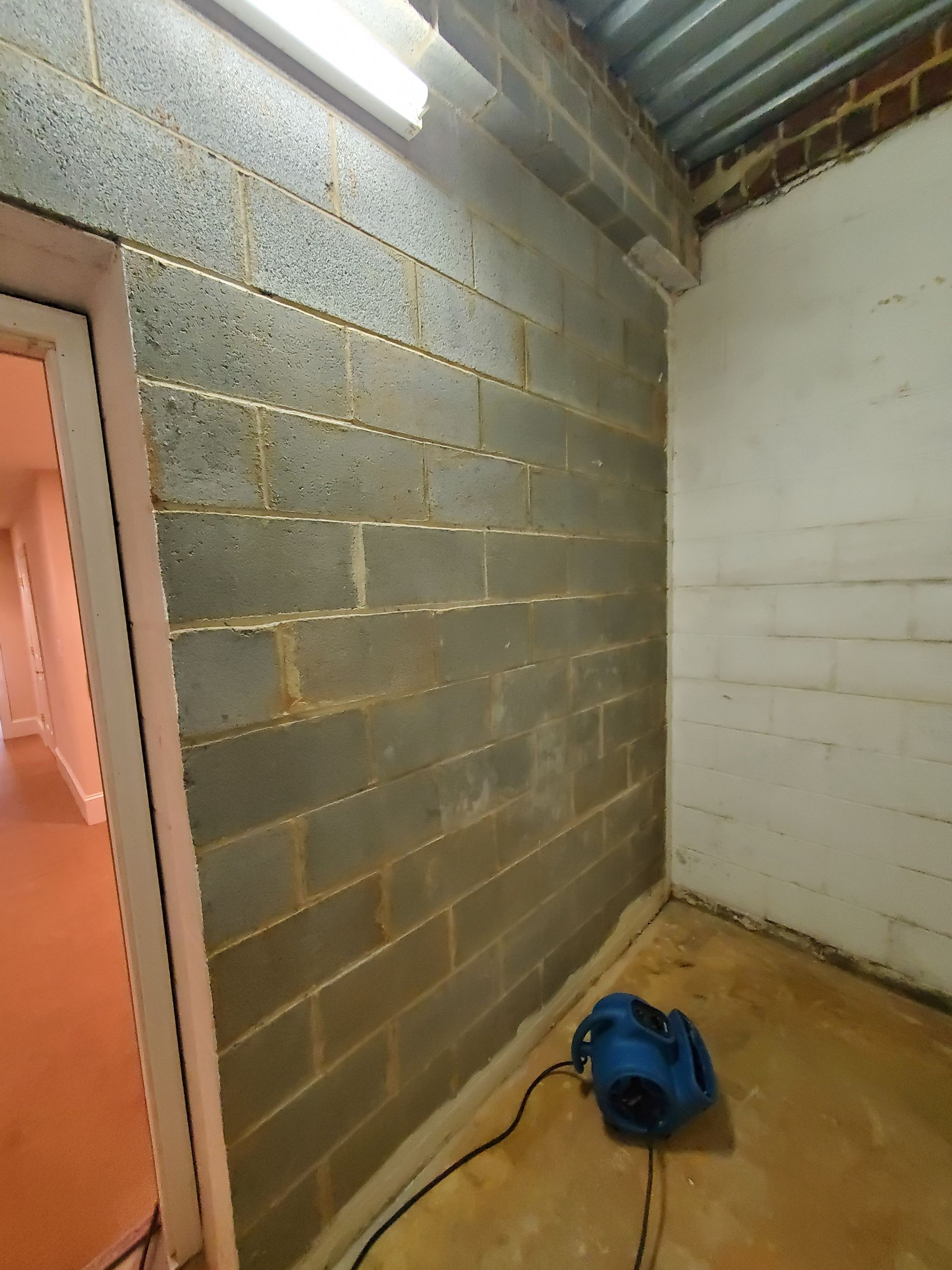 a room with a brick wall and a blue fan on the floor