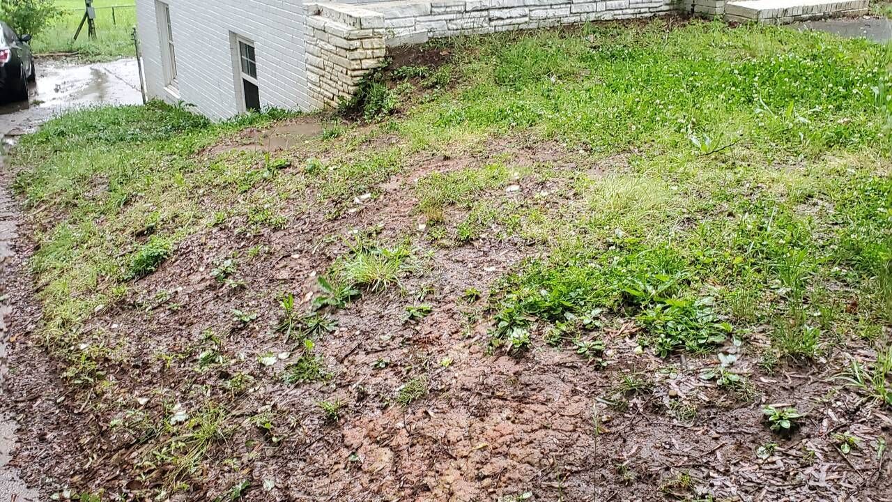 A lawn with a lot of grass and dirt in front of a house.