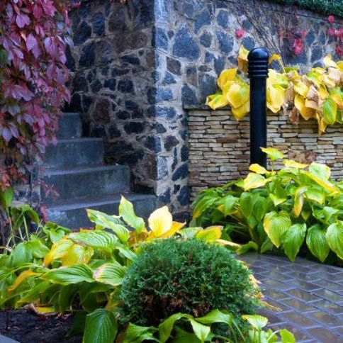 Garden stone path with grass growing up between the stones