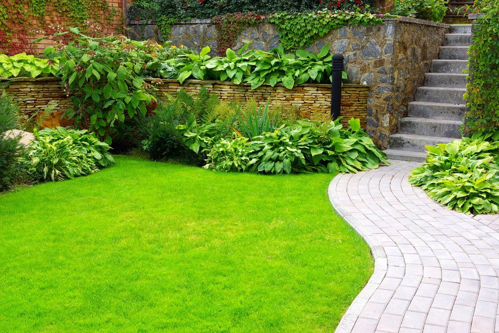 Garden stone path with grass growing up between the stones