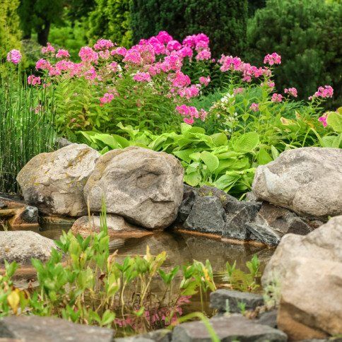 Landscape Design